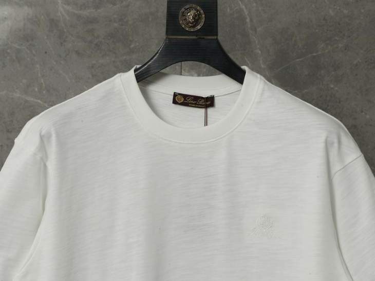 Loro Piana T Shirts Short _SKULoroPianaM-2XLaztxQ748737